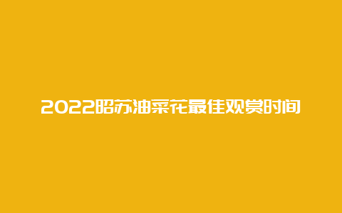 2022昭苏油菜花最佳观赏时间