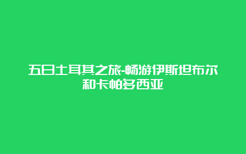 五日土耳其之旅-畅游伊斯坦布尔和卡帕多西亚