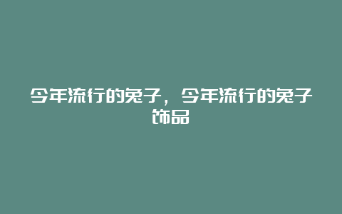 今年流行的兔子，今年流行的兔子饰品