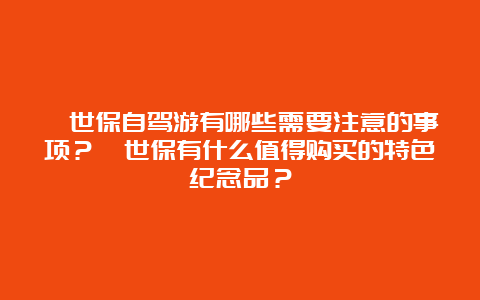 佐世保自驾游有哪些需要注意的事项？佐世保有什么值得购买的特色纪念品？