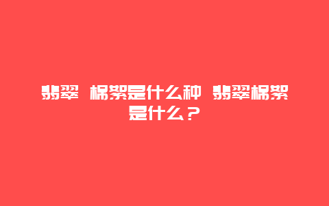 翡翠 棉絮是什么种 翡翠棉絮是什么？