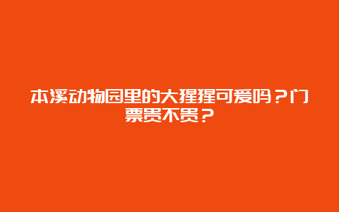 本溪动物园里的大猩猩可爱吗？门票贵不贵？