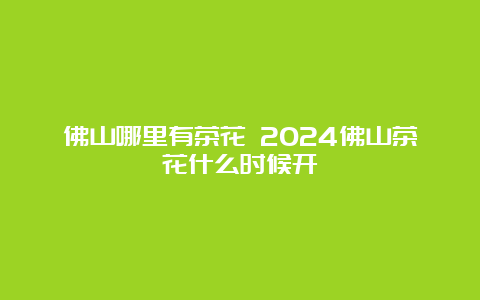 佛山哪里有茶花 2024佛山茶花什么时候开