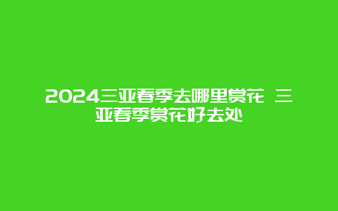 2024三亚春季去哪里赏花 三亚春季赏花好去处