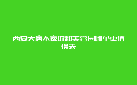 西安大唐不夜城和芙蓉园哪个更值得去