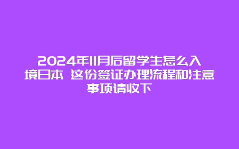 2024年11月后留学生怎么入境日本 这份签证办理流程和注意事项请收下