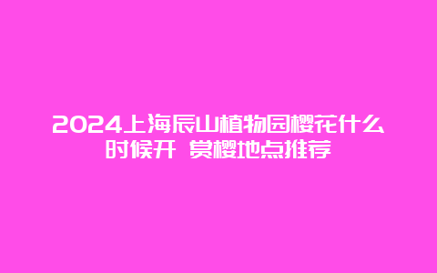 2024上海辰山植物园樱花什么时候开 赏樱地点推荐