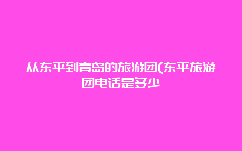 从东平到青岛的旅游团(东平旅游团电话是多少