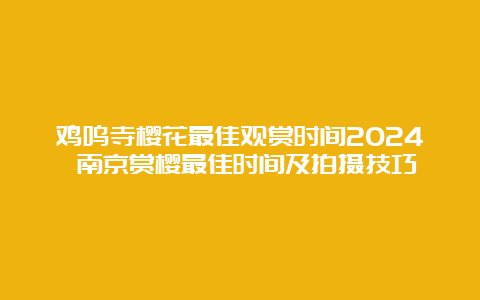 鸡鸣寺樱花最佳观赏时间2024 南京赏樱最佳时间及拍摄技巧