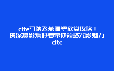 cite马踏飞燕雕塑欣赏攻略！资深摄影爱好者带你领略光影魅力cite