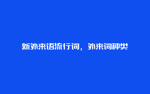 新外来语流行词，外来词种类