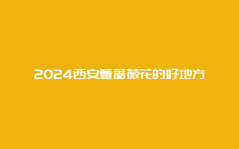 2024西安看蔷薇花的好地方