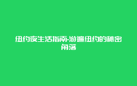 纽约夜生活指南-游遍纽约的秘密角落