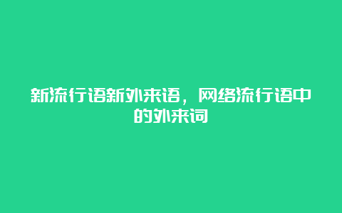 新流行语新外来语，网络流行语中的外来词