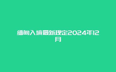 缅甸入境最新规定2024年12月