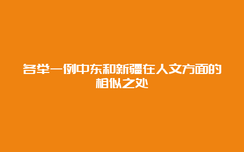 各举一例中东和新疆在人文方面的相似之处