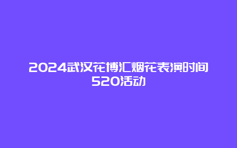 2024武汉花博汇烟花表演时间520活动