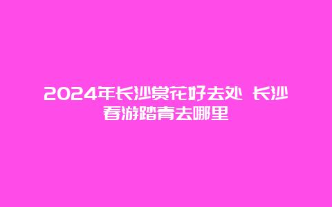 2024年长沙赏花好去处 长沙春游踏青去哪里