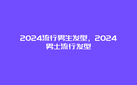 2024流行男生发型，2024男士流行发型