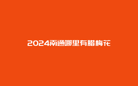 2024南通哪里有腊梅花