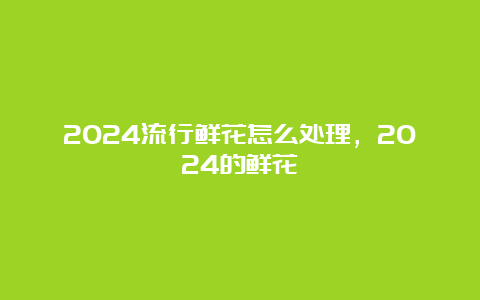 2024流行鲜花怎么处理，2024的鲜花