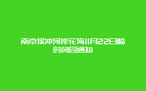 南京侯冲河岸花海11月22日临时闭园通知