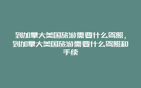 到加拿大美国旅游需要什么驾照，到加拿大美国旅游需要什么驾照和手续