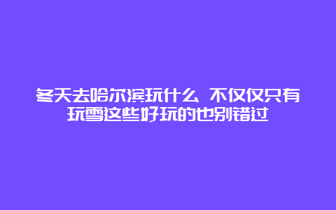 冬天去哈尔滨玩什么 不仅仅只有玩雪这些好玩的也别错过