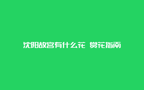 沈阳故宫有什么花 赏花指南