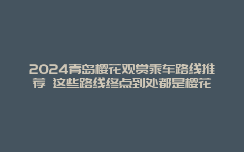 2024青岛樱花观赏乘车路线推荐 这些路线终点到处都是樱花