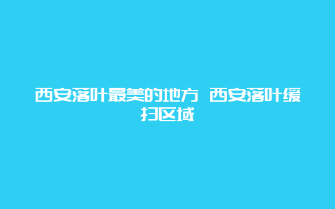 西安落叶最美的地方 西安落叶缓扫区域