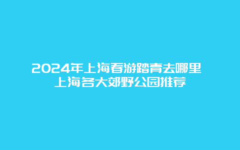 2024年上海春游踏青去哪里 上海各大郊野公园推荐