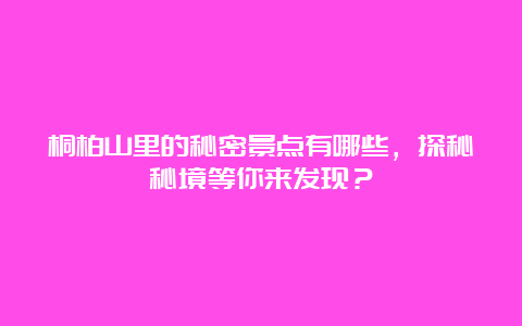 桐柏山里的秘密景点有哪些，探秘秘境等你来发现？