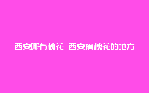 西安哪有槐花 西安摘槐花的地方