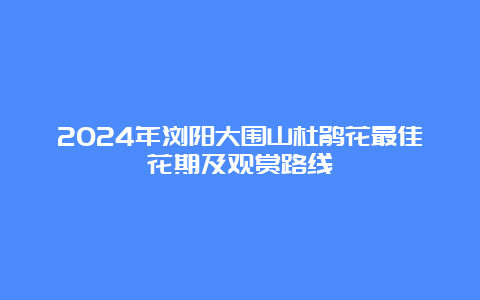 2024年浏阳大围山杜鹃花最佳花期及观赏路线