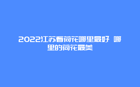 2022江苏看荷花哪里最好 哪里的荷花最美