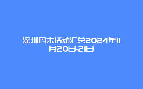 深圳周末活动汇总2024年11月20日-21日