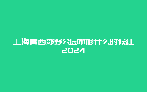 上海青西郊野公园水杉什么时候红2024