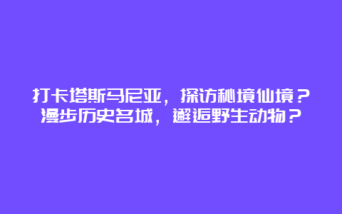 打卡塔斯马尼亚，探访秘境仙境？漫步历史名城，邂逅野生动物？