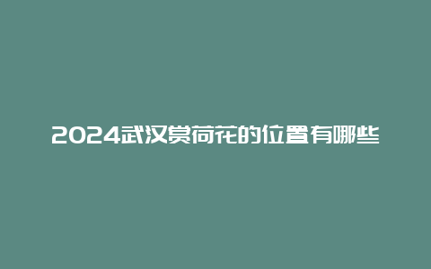 2024武汉赏荷花的位置有哪些