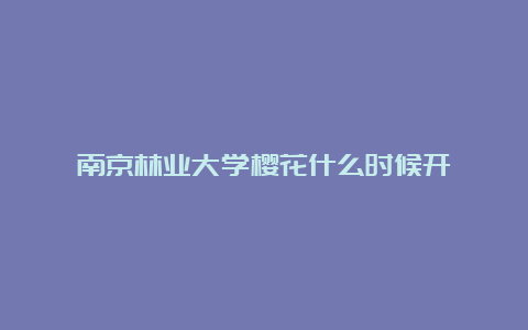 南京林业大学樱花什么时候开