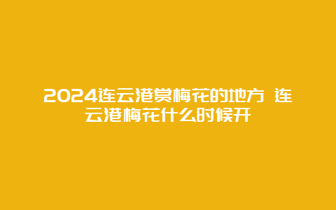 2024连云港赏梅花的地方 连云港梅花什么时候开