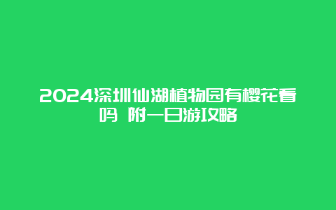 2024深圳仙湖植物园有樱花看吗 附一日游攻略