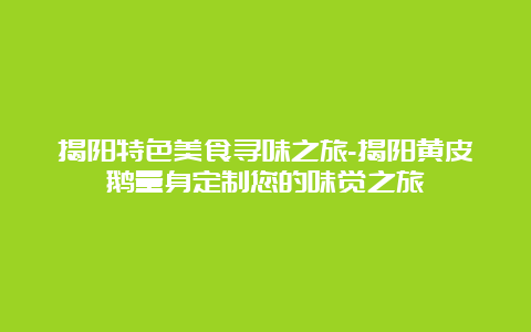 揭阳特色美食寻味之旅-揭阳黄皮鹅量身定制您的味觉之旅