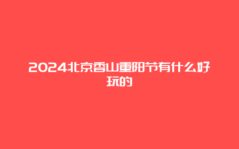 2024北京香山重阳节有什么好玩的