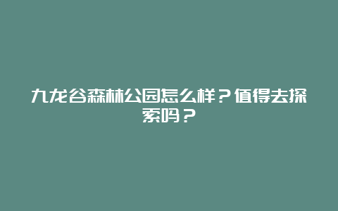 九龙谷森林公园怎么样？值得去探索吗？