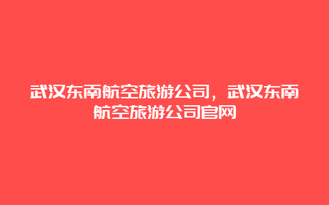 武汉东南航空旅游公司，武汉东南航空旅游公司官网