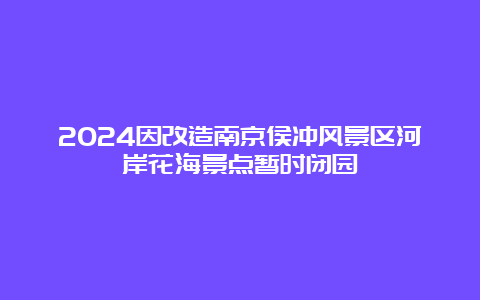 2024因改造南京侯冲风景区河岸花海景点暂时闭园