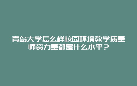 青岛大学怎么样校园环境教学质量师资力量都是什么水平？