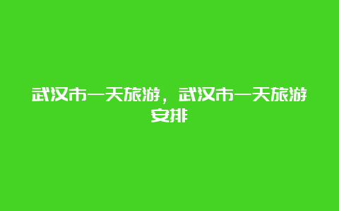 武汉市一天旅游，武汉市一天旅游安排